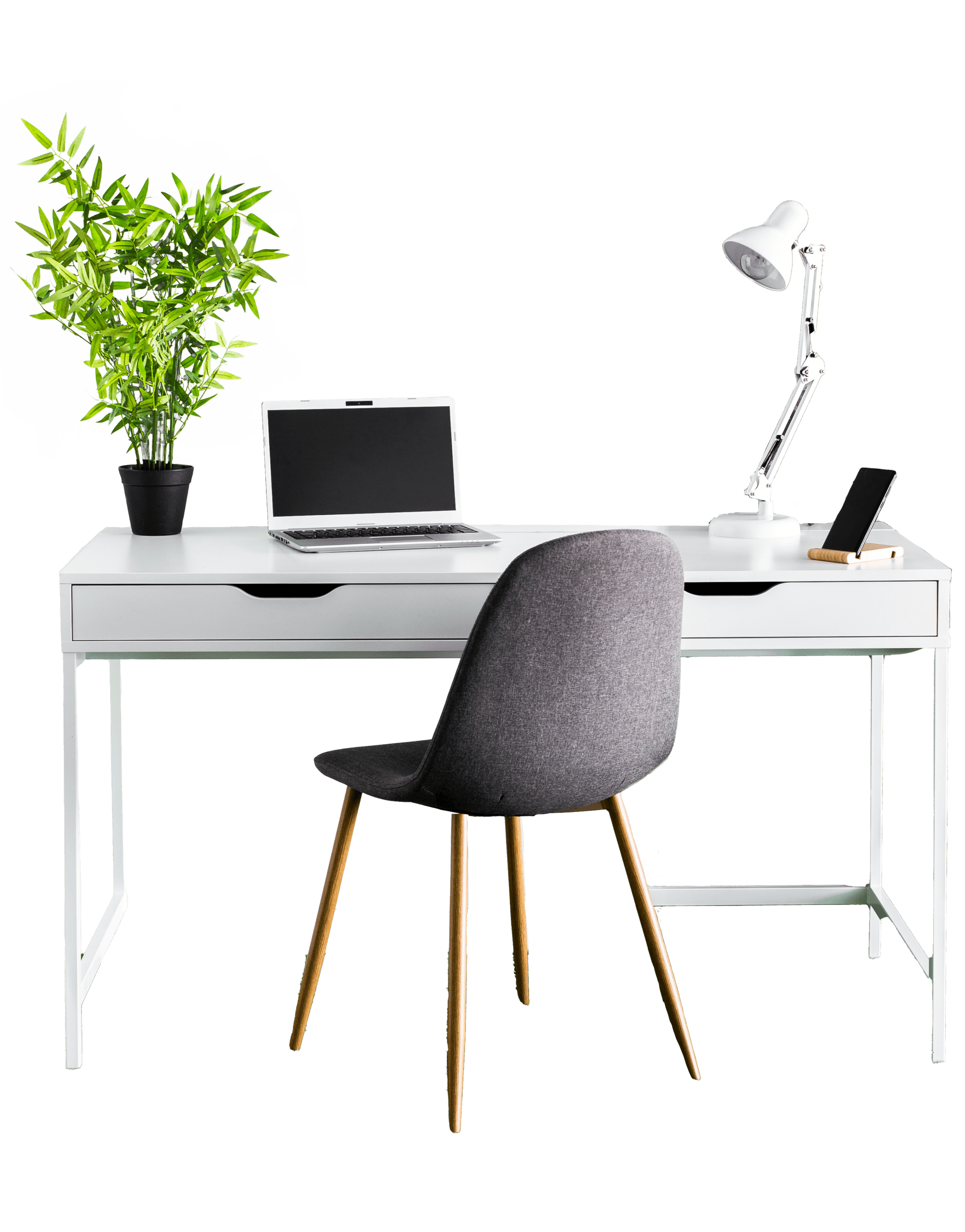 Computer on a desk with a green plant next to it
