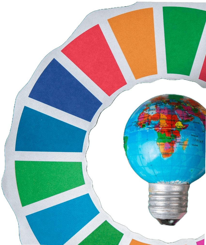 Self SDG promoted image