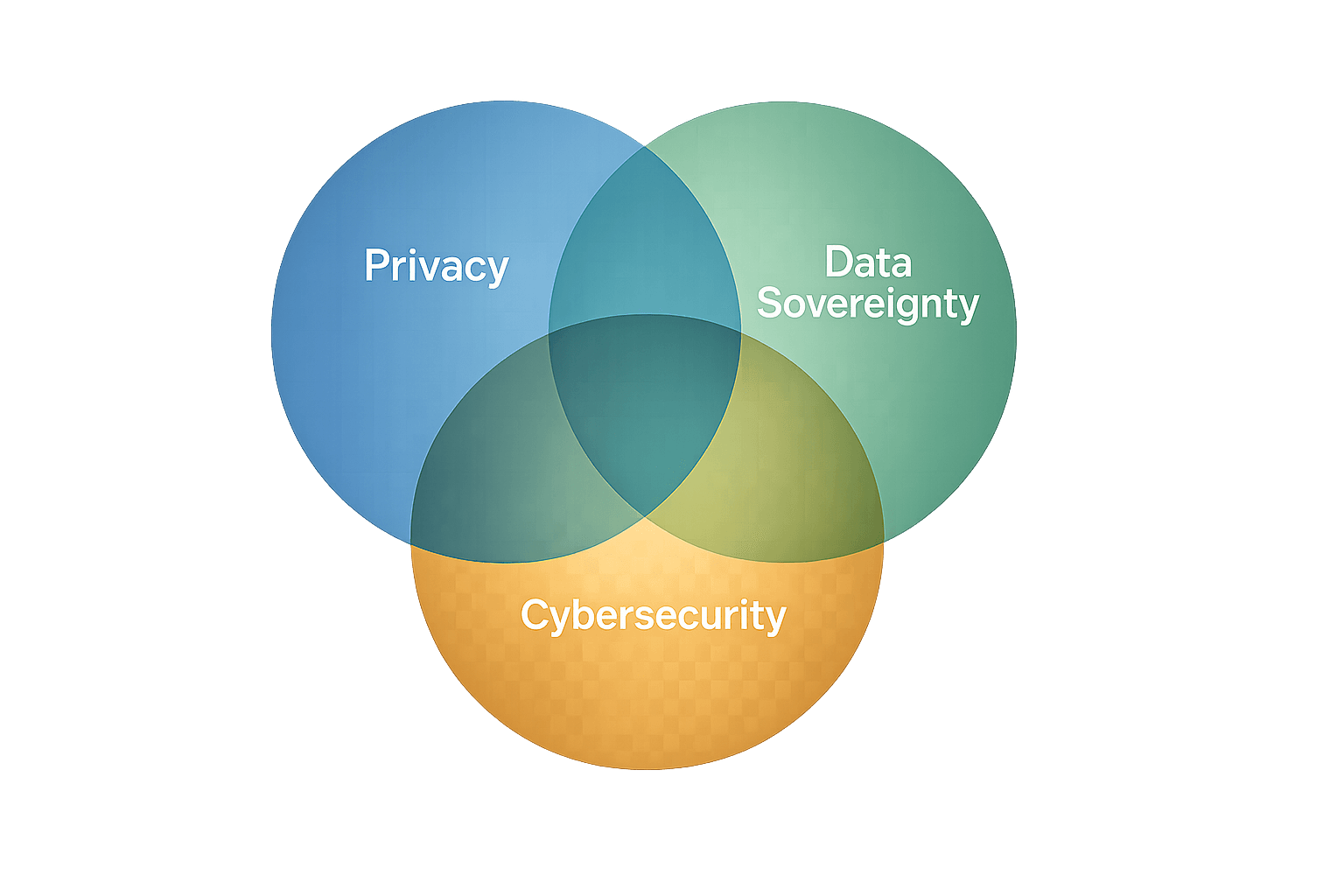 Data Sovereignty ASSIST Software