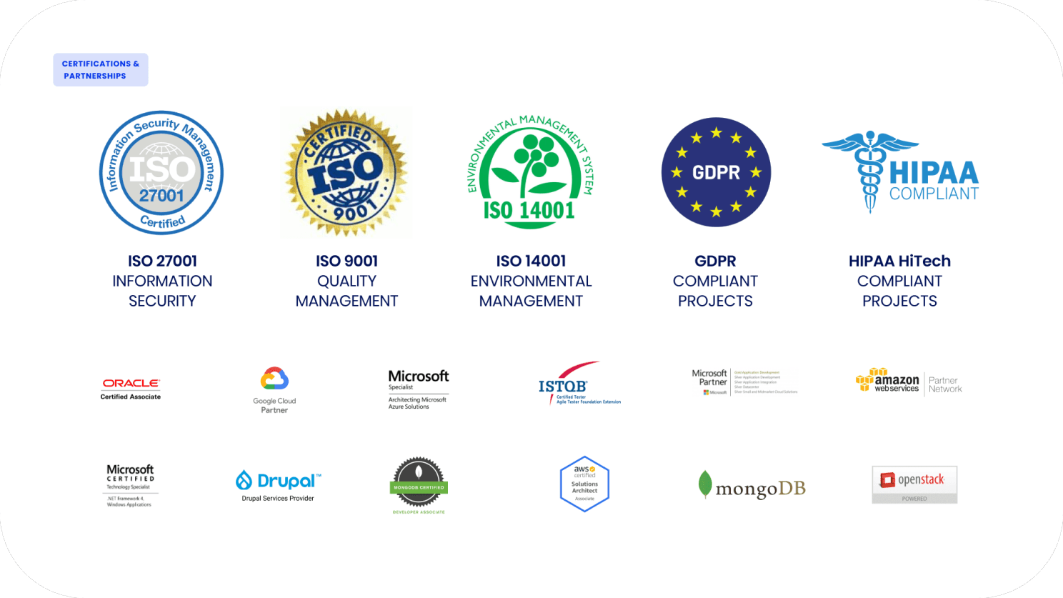 Digitalization_Struggles_ASSIST_Software_02