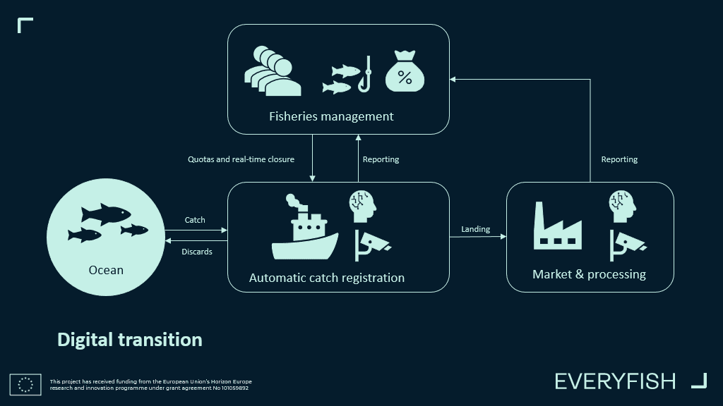 Everyfish ASSIST Software 3