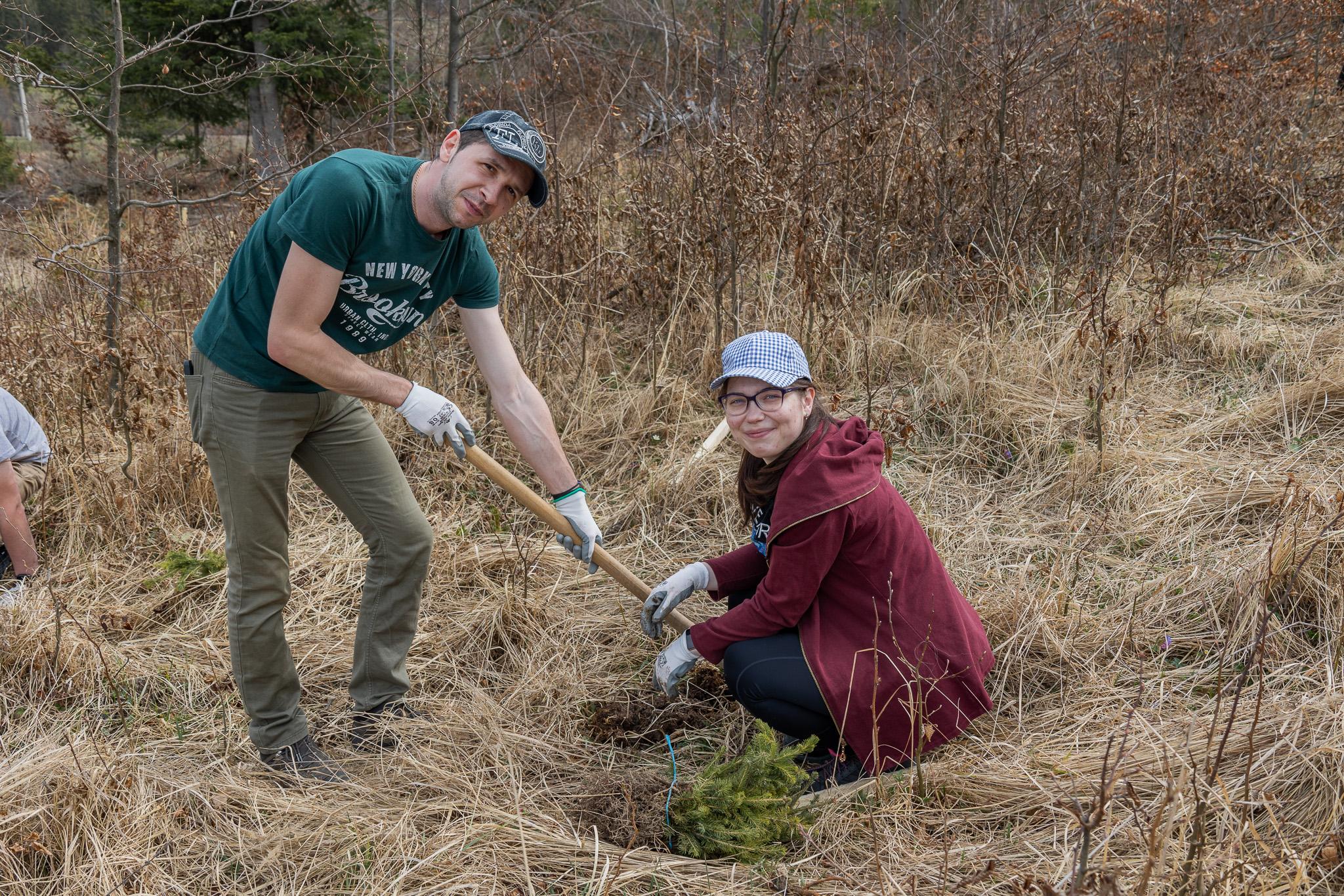 ASSIST Software Plants 2,000 Trees in Annual Reforestation Initiative 