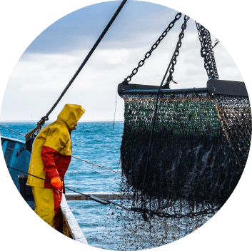 EveryFish Challenge Image