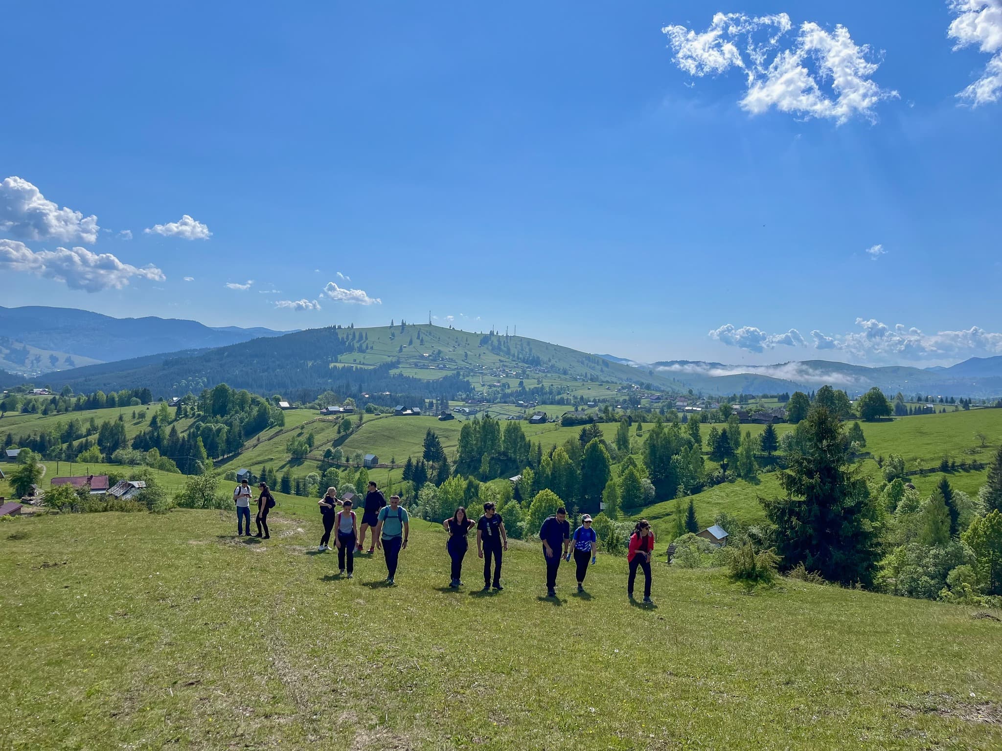 ASSIST Software's greening activity on Via Transilvanica 