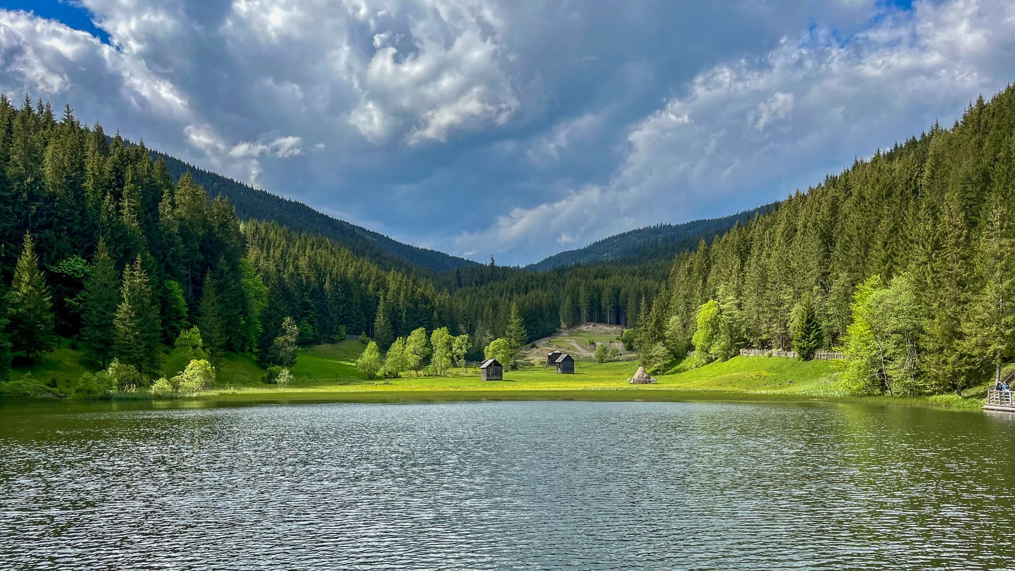 ASSIST Software's greening activity on Via Transilvanica 