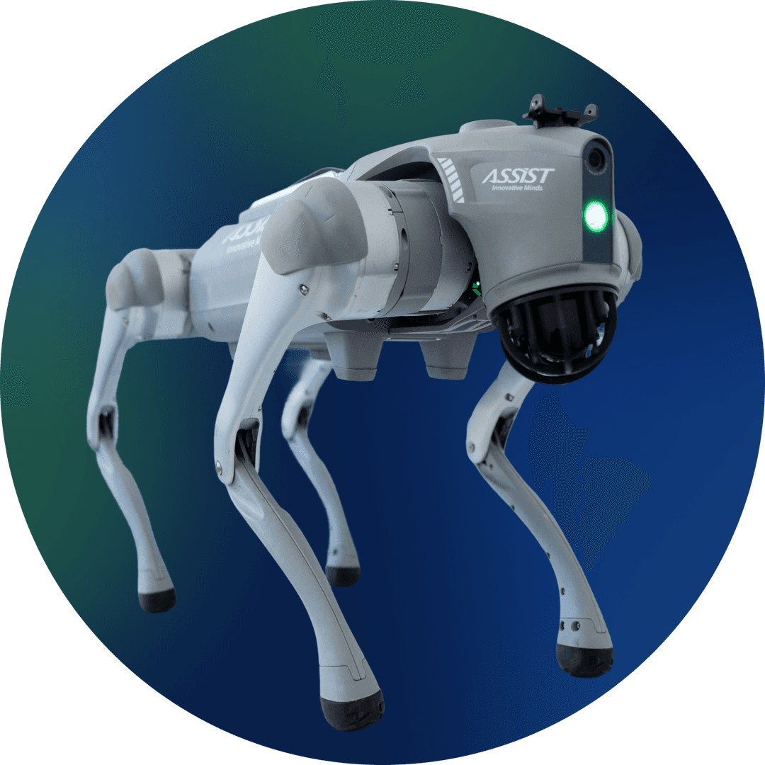 Robot dog