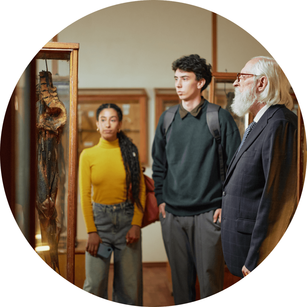 Museum visitors observing an exhibit