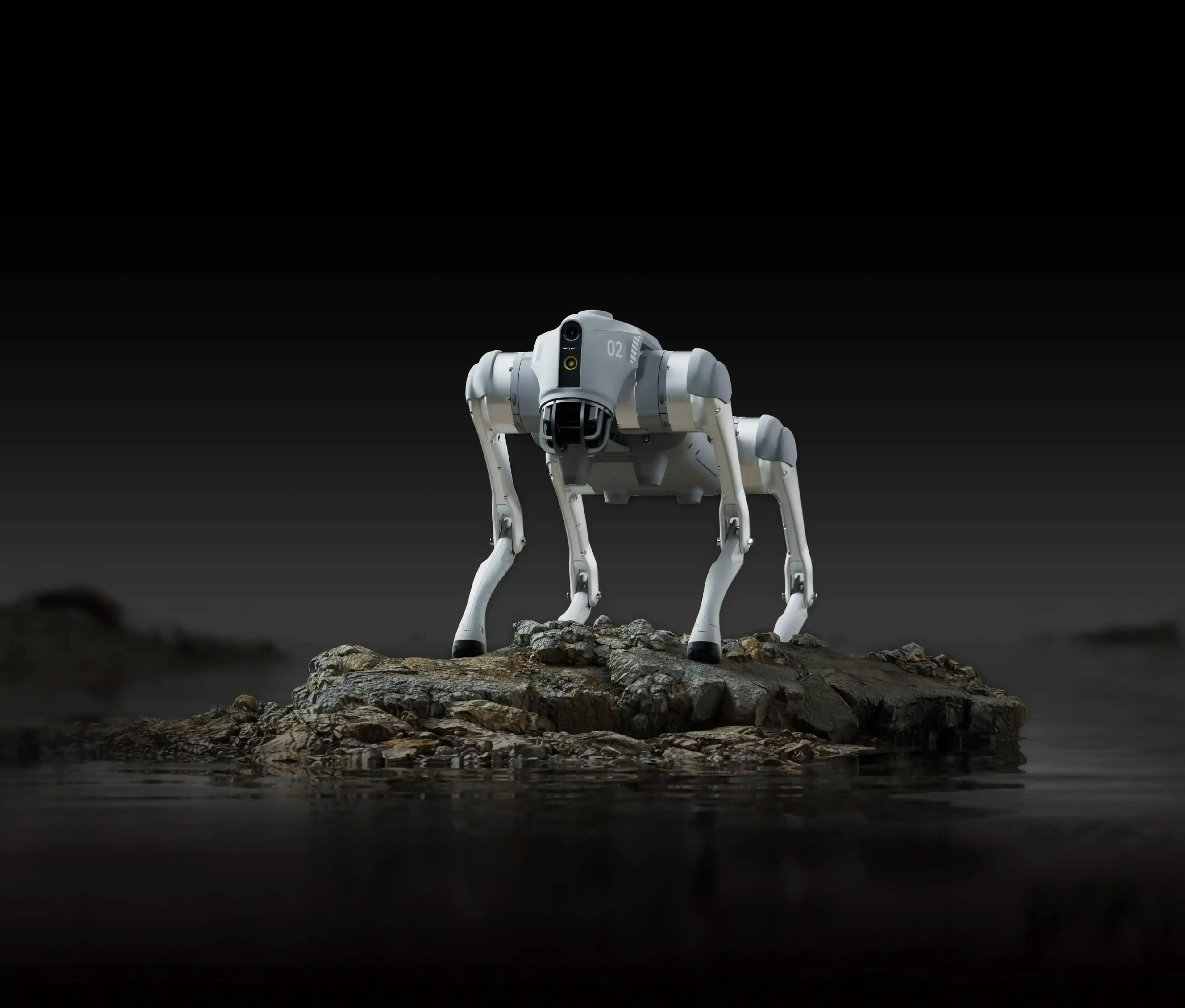 robot dog