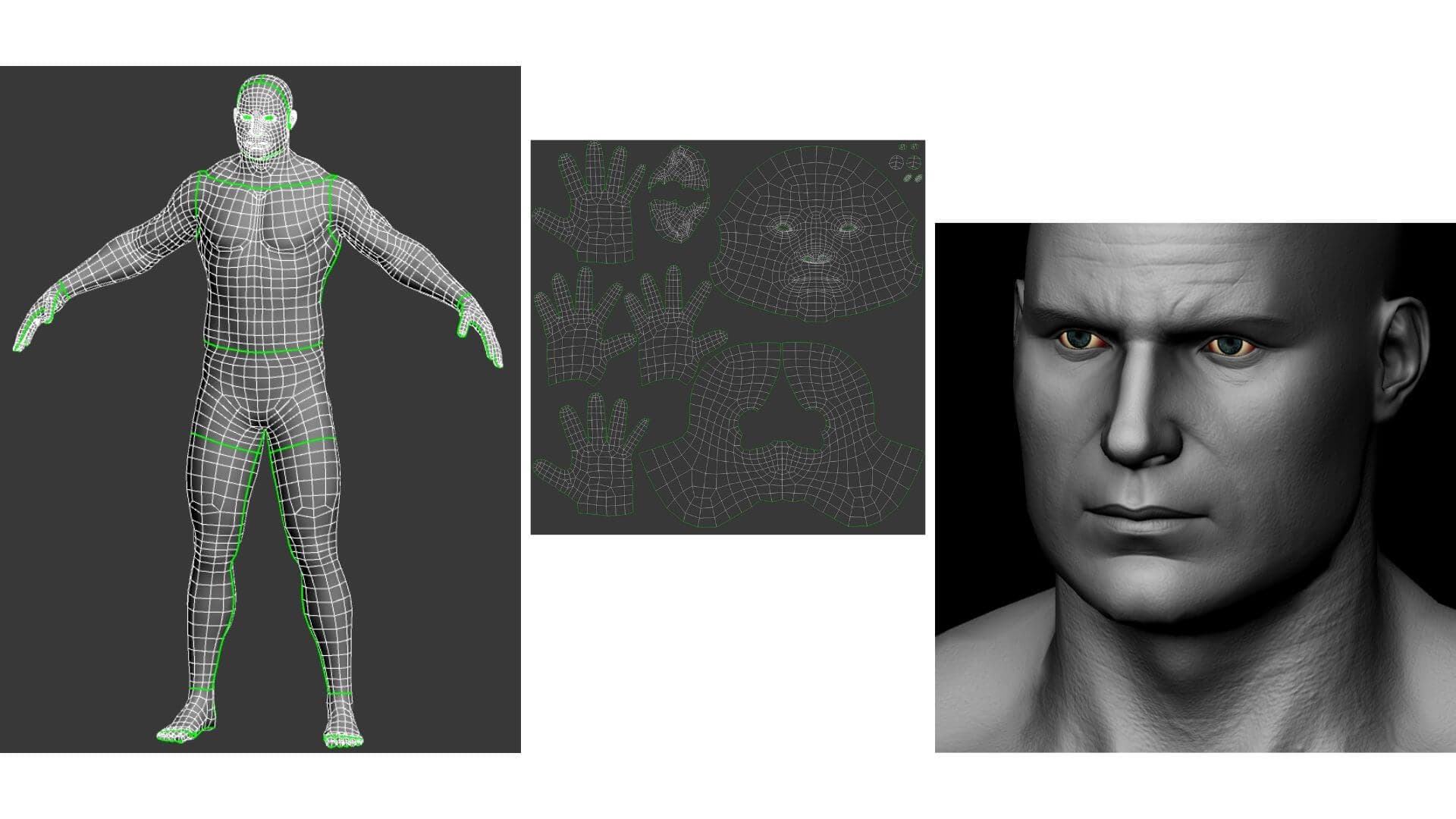 Game Character Production - Applying Industry Standards across Production Pipeline - human anatomy details