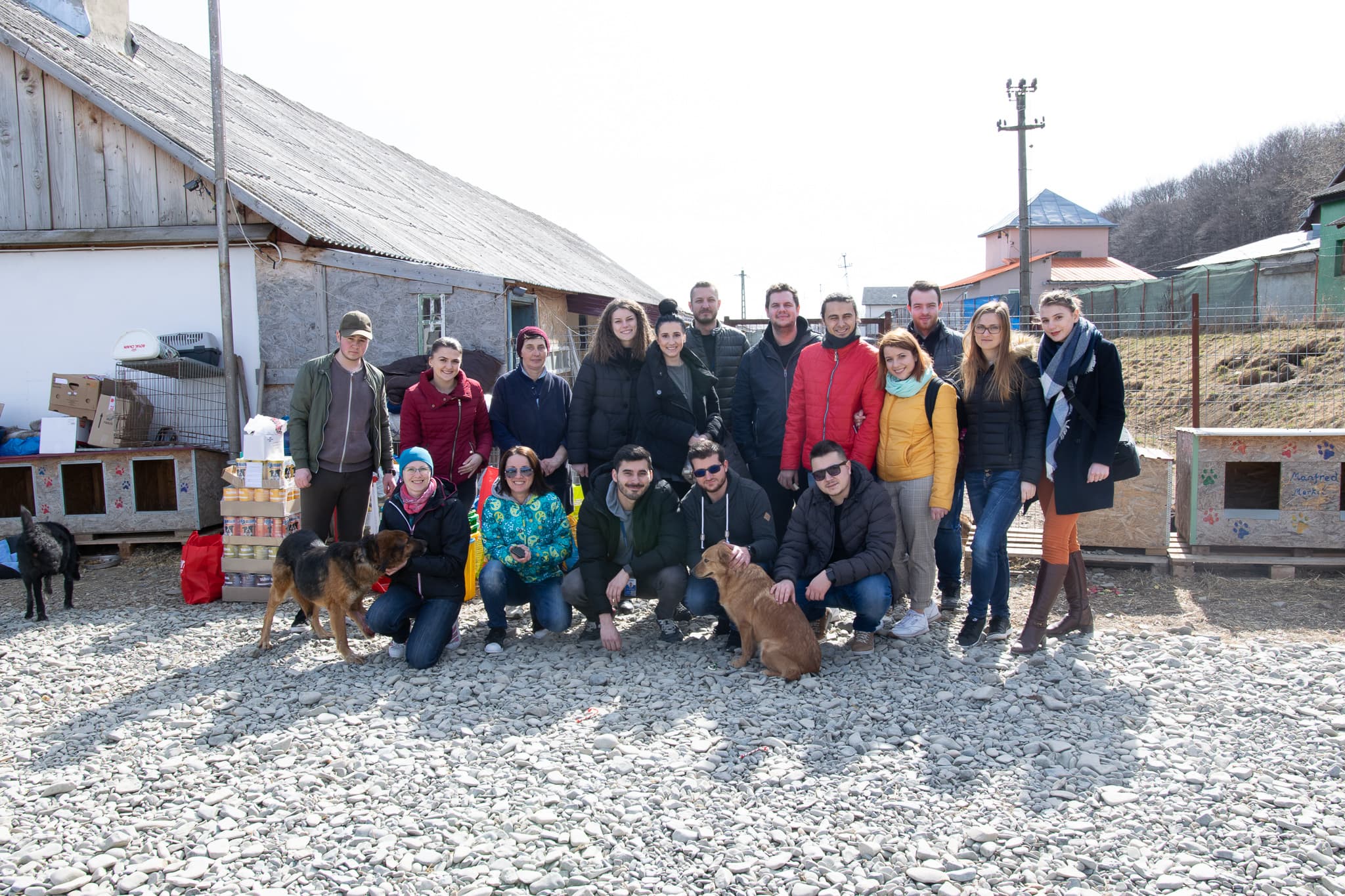 ASSIST Raised Funds to Support “Casa lui Patrocle” Animal Shelter