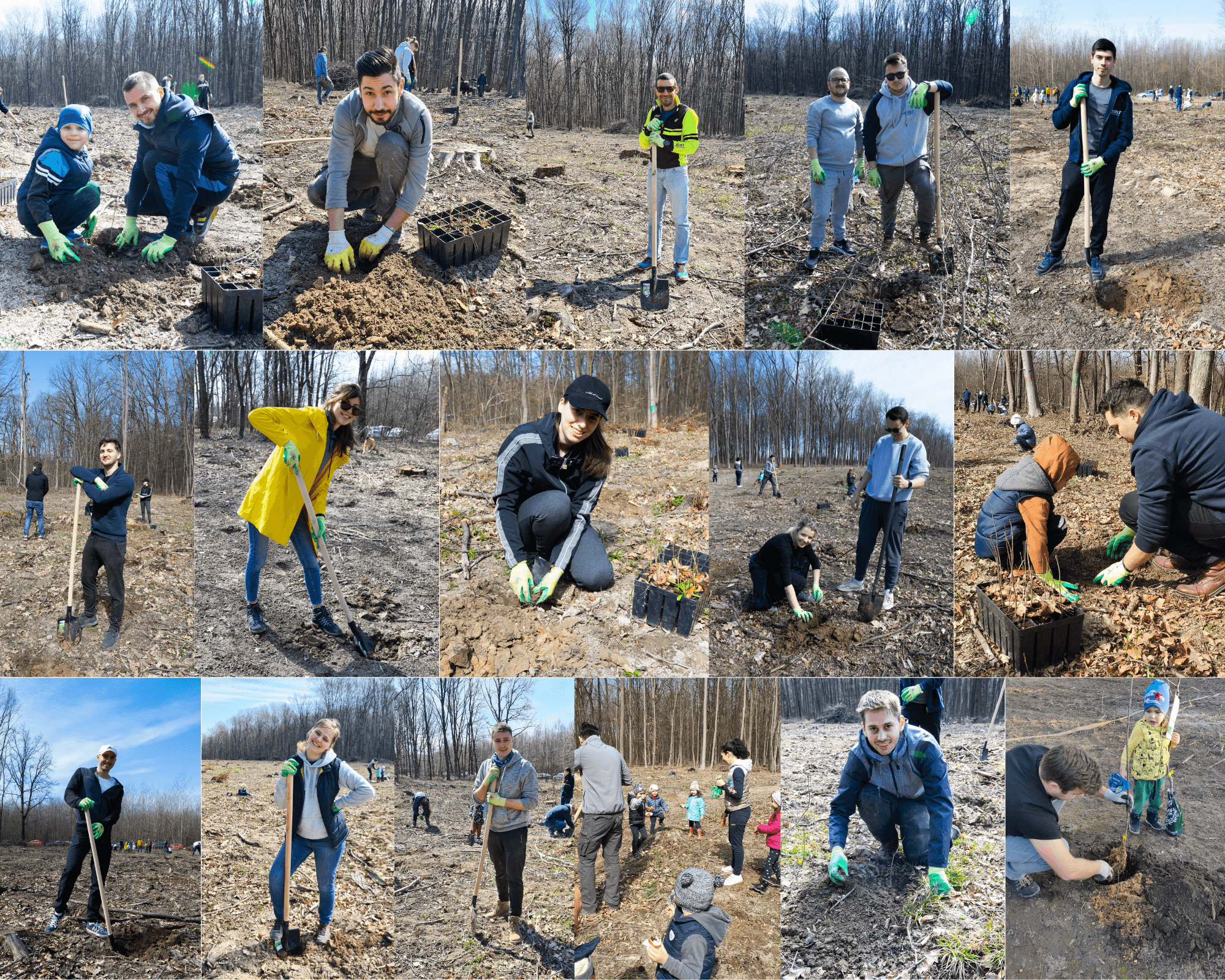 ASSIST Software Celebrates Spring by Planting Trees