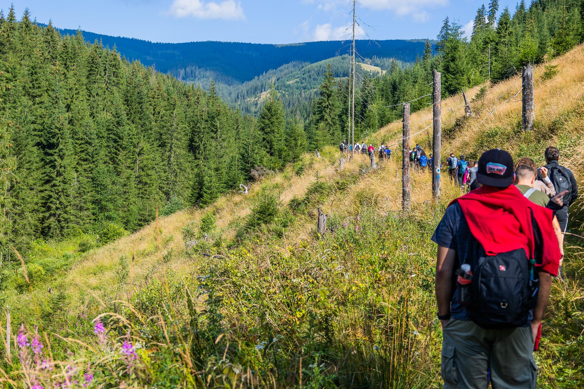 ASSIST Hiking Day: a trip into nature at the 12 Apostles Reserve