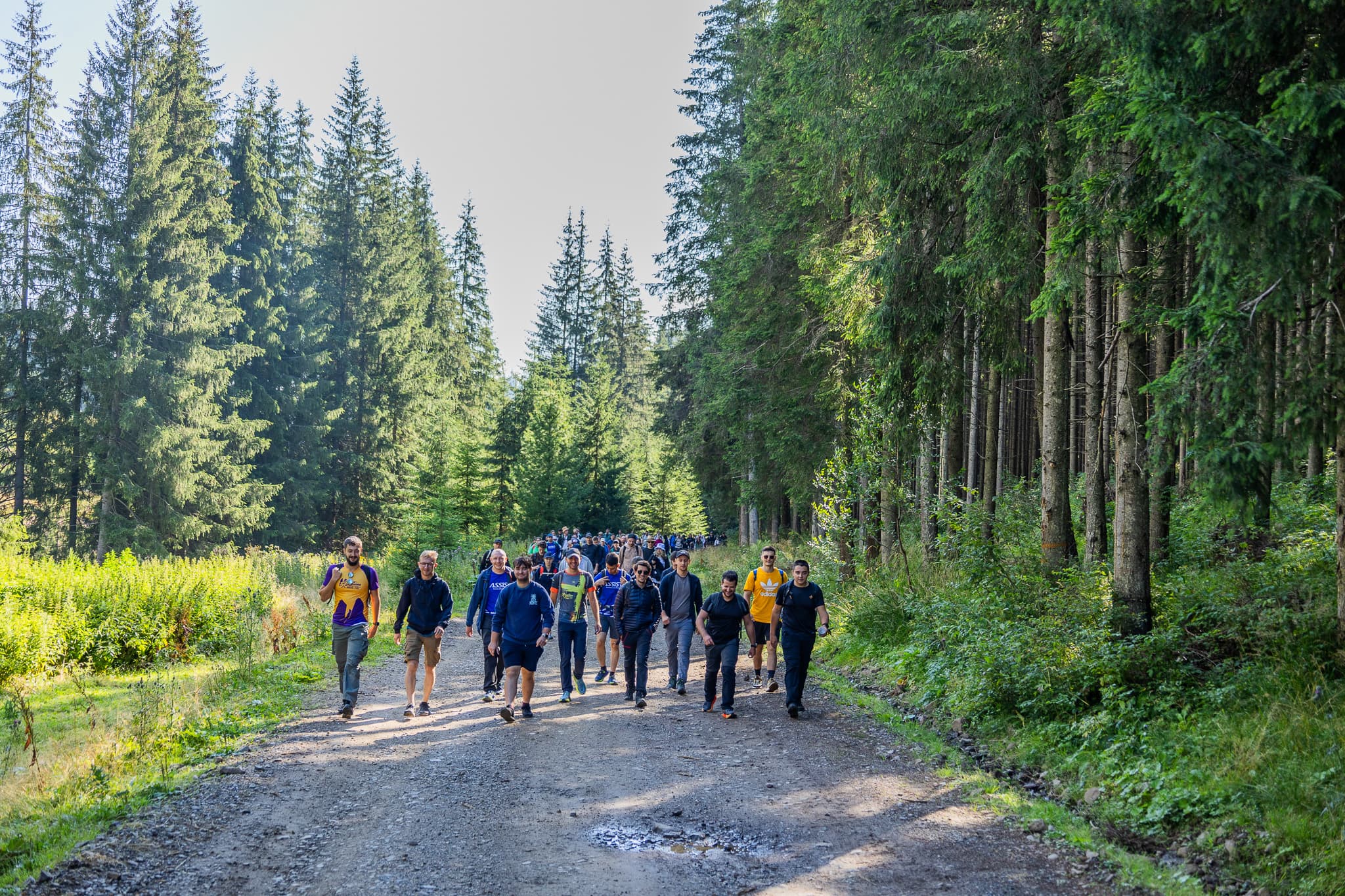 ASSIST Hiking Day: a trip into nature at the 12 Apostles Reserve