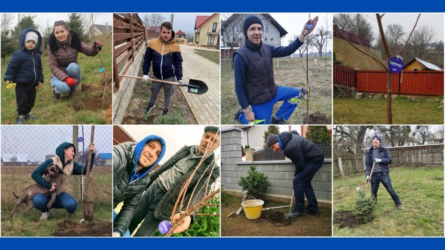 Tree Planting Challenge organized by ASSIST Software