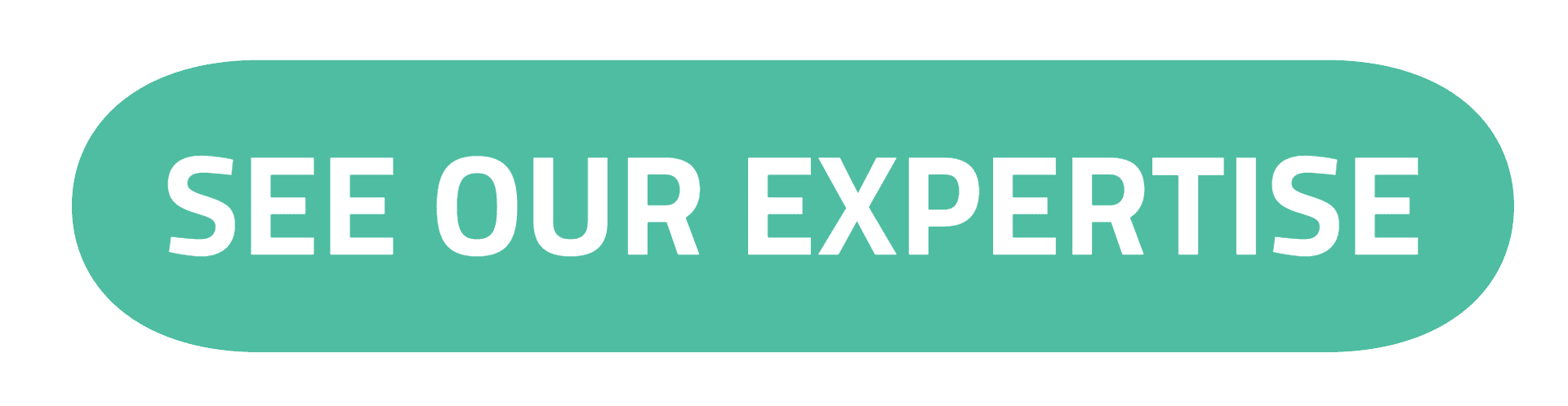 ASSIST Software Romania Expertise