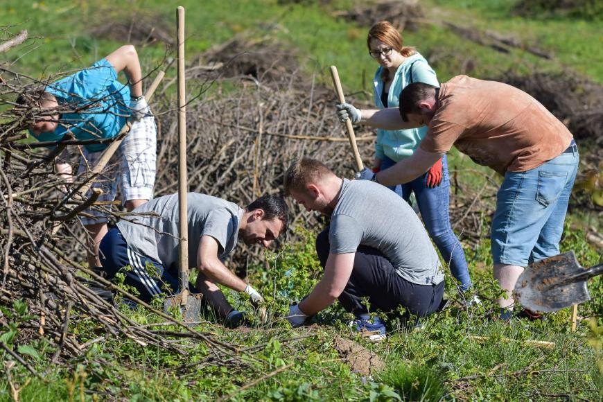 Reforestation activity powered by ASSIST Software’s team-ASSIST Software Romania