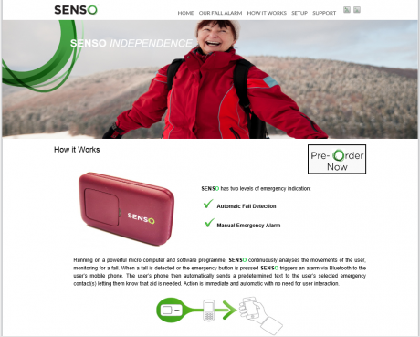 Senso website