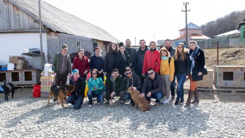 ASSIST Software volunteers at "Casa lui Patrocle" Animal Rescue Shelter