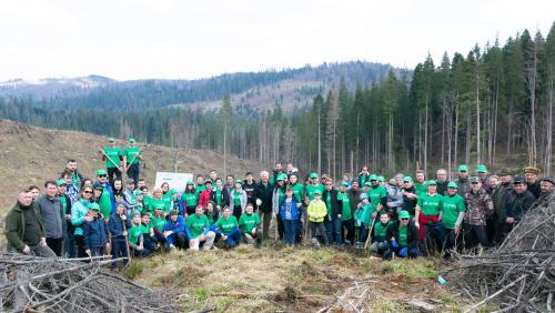  ASSIST Software planting trees in Moldovita - promoted picture
