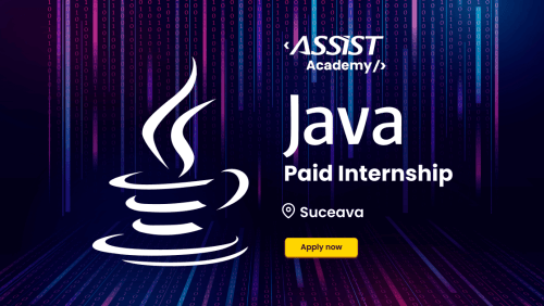 Java Internship ASSIST Software