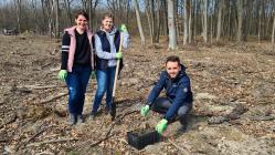 Our colleagues planting trees